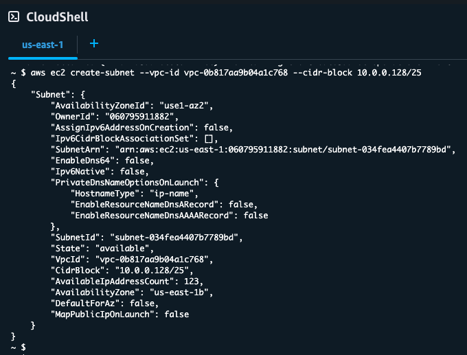 Aws Cloudshell For Rapid Vpc Deployment